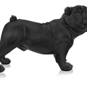 Antique Bulldog - Matt Black at online8 furniture store Auckland