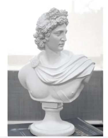 Apollo Bust - White at online8 furniture store Auckland