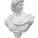 Apollo Bust - White at online8 furniture store Auckland