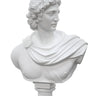 Apollo Bust - White at online8 furniture store Auckland