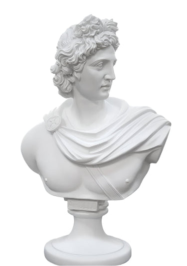 Apollo Bust - White at online8 furniture store Auckland
