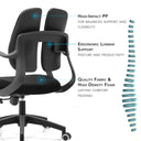 Argo Split Ergonomic Office Chair at online8 furniture store Auckland