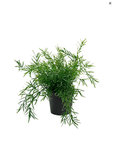 Asparagus Fern Bush Potted Faux Plant at online8 furniture store Auckland