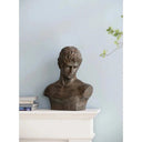 Atticus Bust Indoor/Outdoor at online8 furniture store Auckland