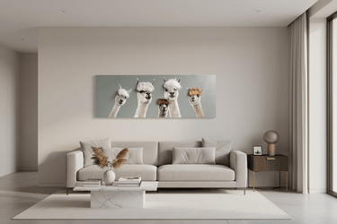 Bad Hair Day - 5 Alpaca Canvas at Online8 Furniture Auckland NZ