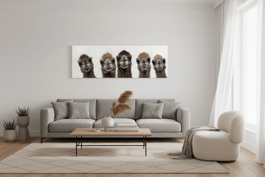 Bad Hair Day - 5 Lama Canvas at Online8 Furniture Auckland NZ