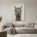 Bad Hair Day - Alpaca Canvas at Online8 Furniture Auckland NZ
