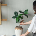 Bayeux Wide-Neck Vase Large at online8 furniture store Auckland