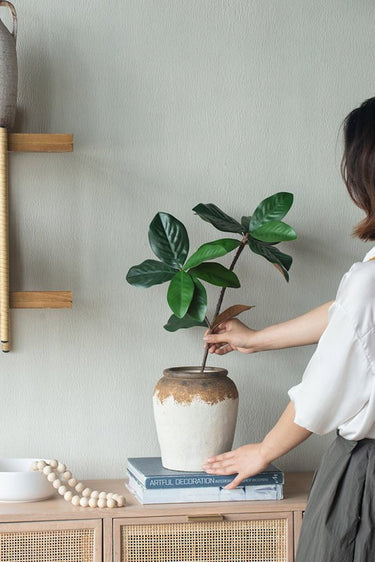 Bayeux Wide-Neck Vase Large at online8 furniture store Auckland