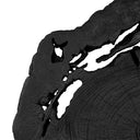 Black Teak Decor at online8 furniture store Auckland