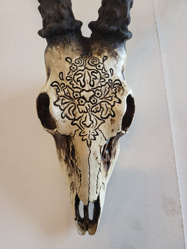 Bone Stag Head with Carving at online8 furniture store Auckland