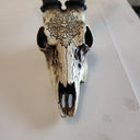 Bone Stag Head with Carving at online8 furniture store Auckland
