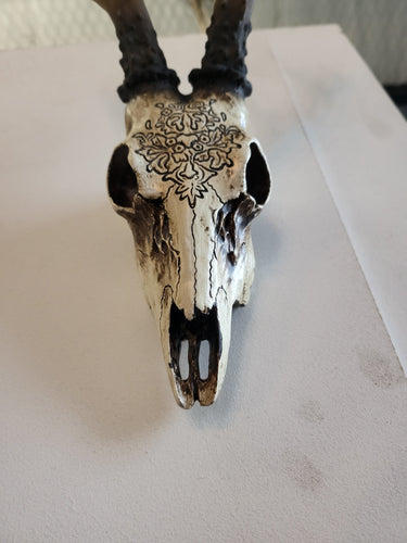 Bone Stag Head with Carving at online8 furniture store Auckland