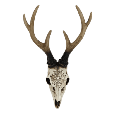 Bone Stag Head with Carving at online8 furniture store Auckland