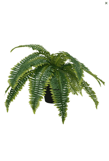 Boston Fern Potted - 35cm Faux Plant at online8 furniture store Auckland