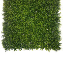 Boxwood Square 50cm x 50cm at online8 furniture store Auckland