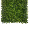 Boxwood Square 50cm x 50cm at online8 furniture store Auckland