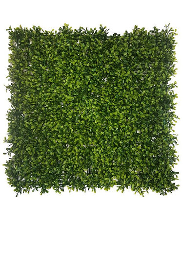 Boxwood Square 50cm x 50cm at online8 furniture store Auckland