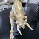 Bull Statue 50cm at online8 furniture store Auckland