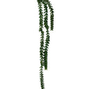 Burro's Tail 82cm at online8 furniture store Auckland