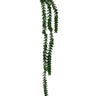 Burro's Tail 82cm at online8 furniture store Auckland