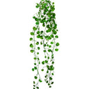 Button Fern Vine - Faux Plant at online8 furniture store Auckland