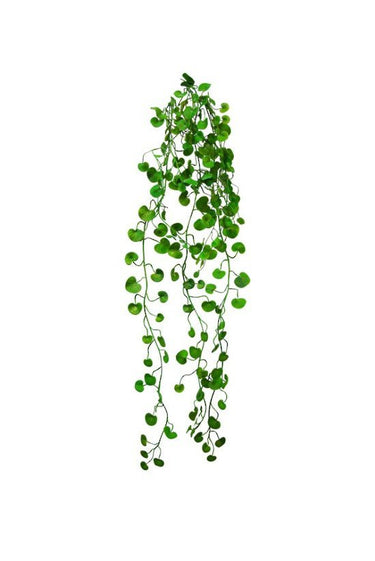 Button Fern Vine - Faux Plant at online8 furniture store Auckland