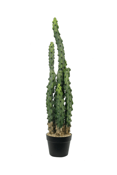 Cactus Potted - 81cm Faux Plant at online8 furniture store Auckland