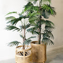 Canggu Rattan Webbing Planter Stand at online8 furniture store Auckland