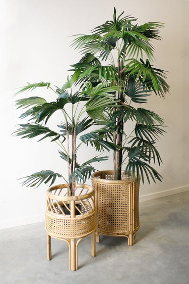 Canggu Rattan Webbing Planter Stand at online8 furniture store Auckland