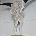 Carved Skull Wall Decor 54cm at online8 furniture store Auckland