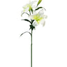 Casablanca Lily at online8 furniture store Auckland