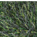 Celeste Green Shaggy Rug at online8 furniture store Auckland