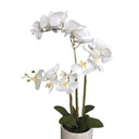 Cement Pot Real Touch Orchid - 66cm at online8 furniture store Auckland