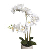Cement Pot Real Touch Orchid - 66cm at online8 furniture store Auckland