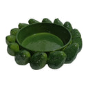 Ceramic Avocado Bowl - Green at Online8 Furniture Auckland NZ