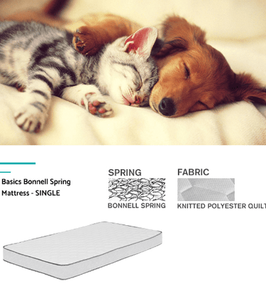 Classic Queen Bed (Mattress + Base) at online8 furniture store Auckland