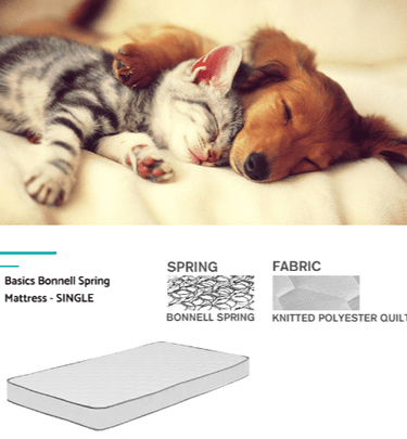 Classic Single Bed (Mattress + Base) at online8 furniture store Auckland