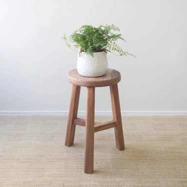Coastline Aged Elm Stool at online8 furniture store Auckland