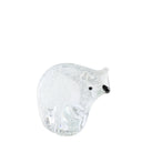 Colored Glazed Bear at online8 furniture store Auckland