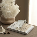 Colored Glazed Bear at online8 furniture store Auckland