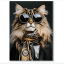 Cool Cat Framed Canvas Wall Art at online8 furniture store Auckland