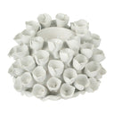 Coral at online8 furniture store Auckland