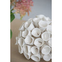 Coral at online8 furniture store Auckland