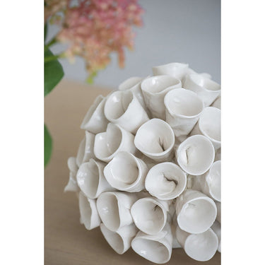 Coral at online8 furniture store Auckland