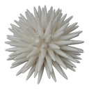 Coral at online8 furniture store Auckland