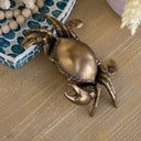 Crab Decorative Box at online8 furniture store Auckland