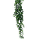Cresent Hanging Succulent 74cm at online8 furniture store Auckland