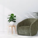 Crown Swivel Chair - Olive/Black at Online8 Furniture Auckland NZ