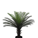 Cycas Palm Tree Potted 90cm at online8 furniture store Auckland